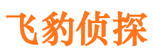 瑞安寻人公司